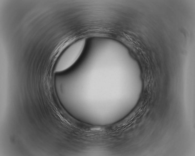 X0000113260050200909101258