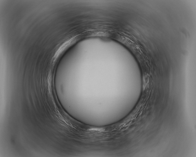 X0000113260051200909101258