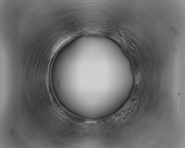 X0000113260052200909101258