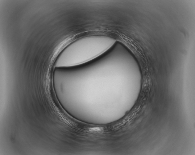 X0000113260053200909101258