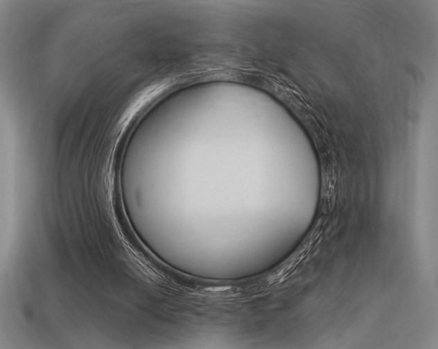 X0000113260054200909101258