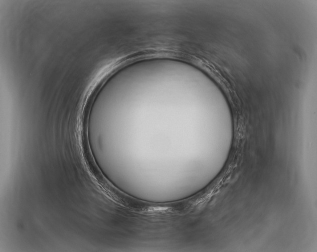 X0000113260055200909101258