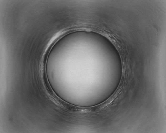 X0000113260056200909101258