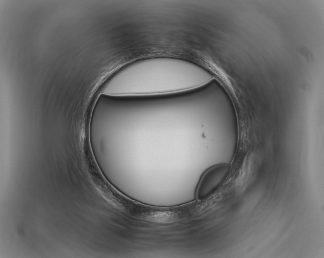 X0000113260059200909101258