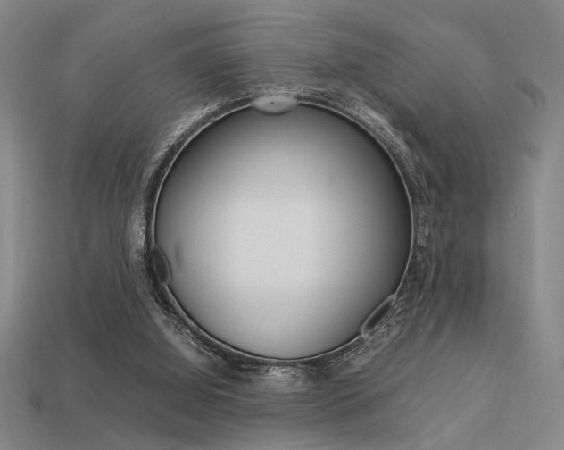 X0000113260060200909101258