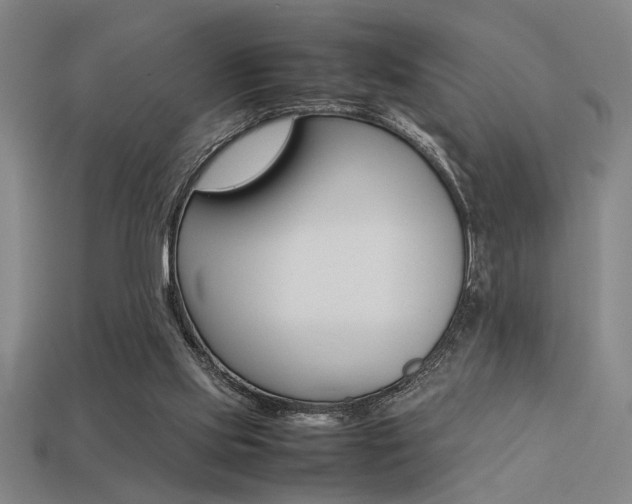 X0000113260061200909101258