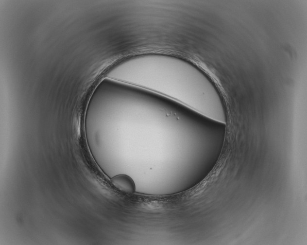 X0000113260062200909101258