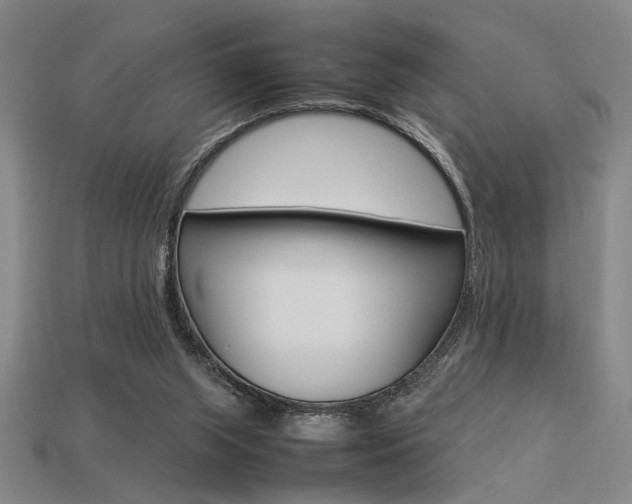 X0000113260063200909101259