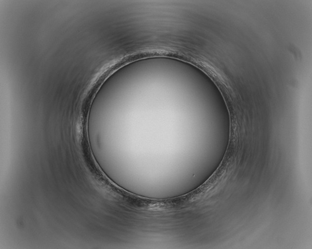 X0000113260064200909101259