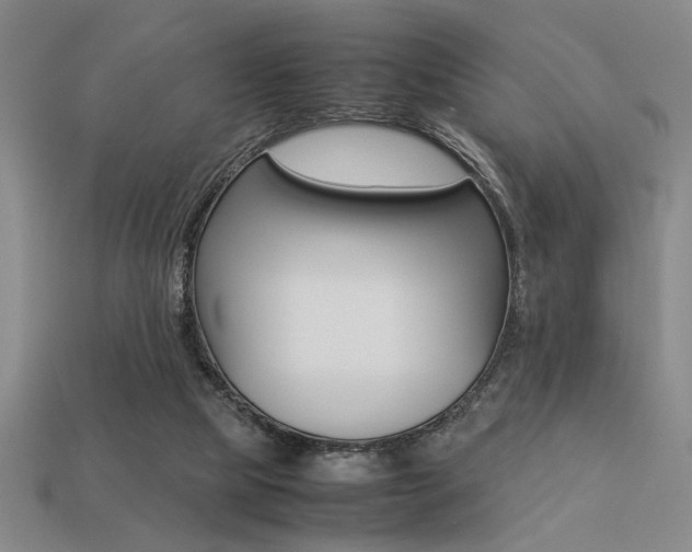 X0000113260065200909101259