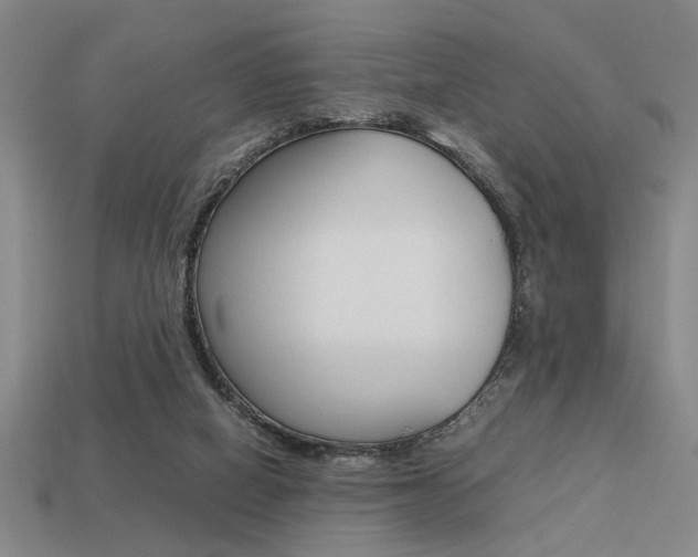 X0000113260066200909101259