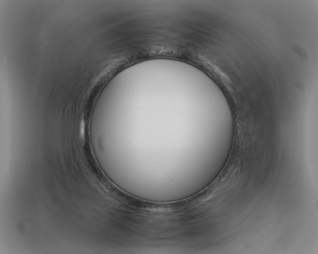 X0000113260067200909101259