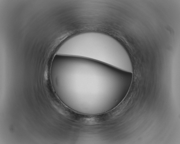 X0000113260068200909101259