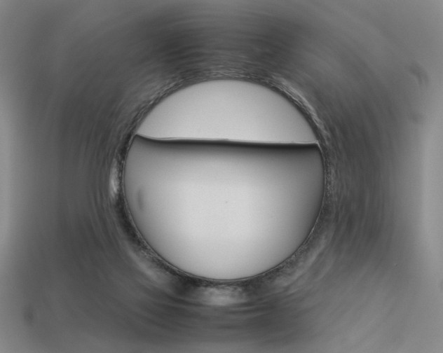 X0000113260069200909101259