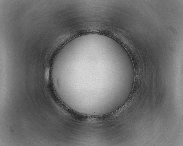 X0000113260070200909101259