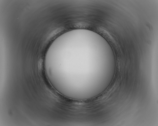 X0000113260071200909101259