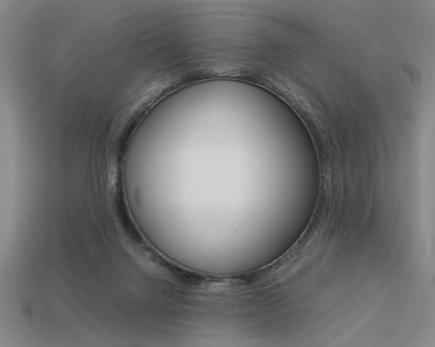 X0000113260072200909101259