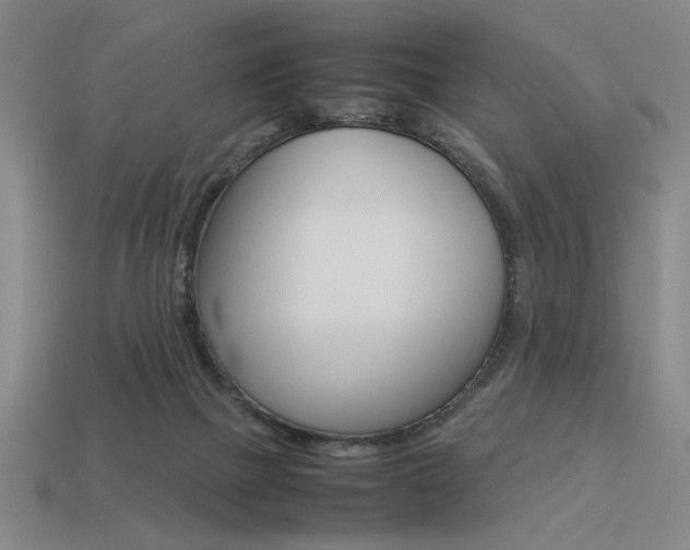 X0000113260073200909101259