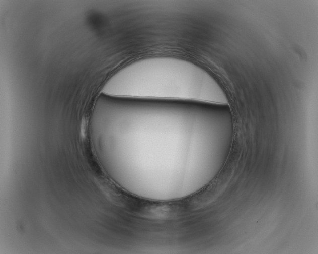 X0000113260075200909101259