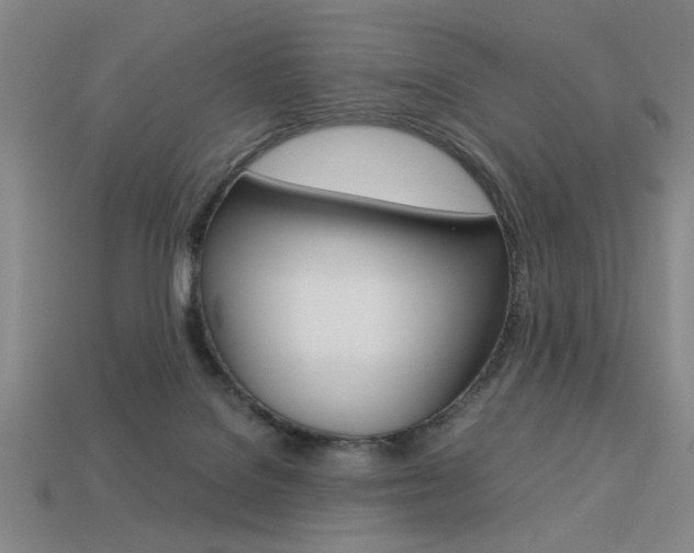 X0000113260076200909101259