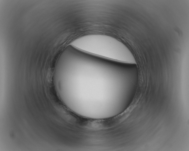 X0000113260078200909101259