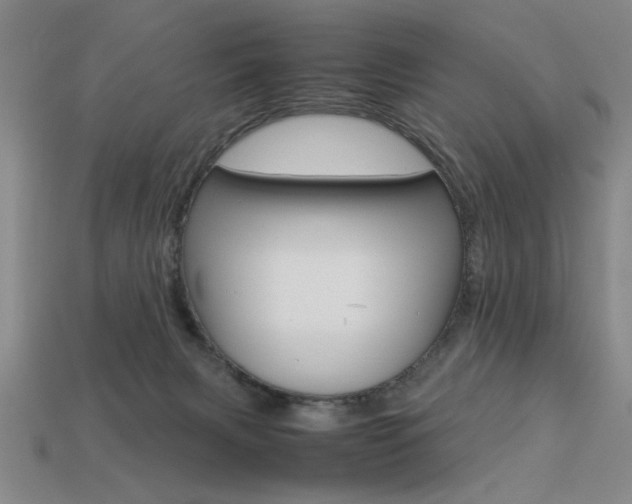 X0000113260079200909101259