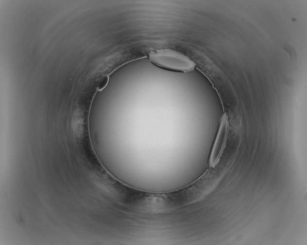 X0000113260080200909101259