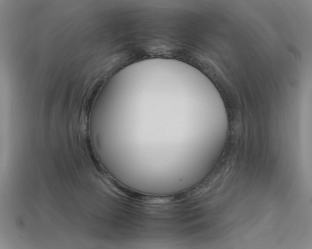 X0000113260081200909101259