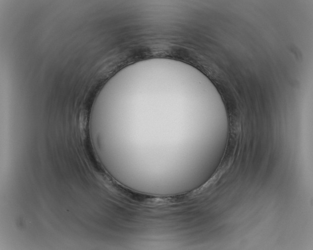 X0000113260082200909101259