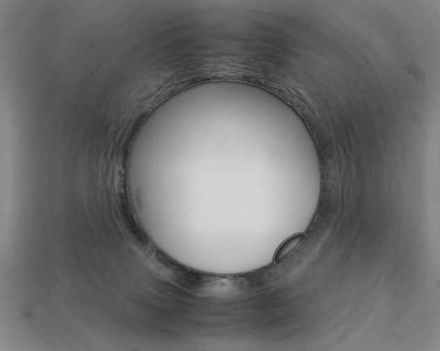 X0000113260083200909101259