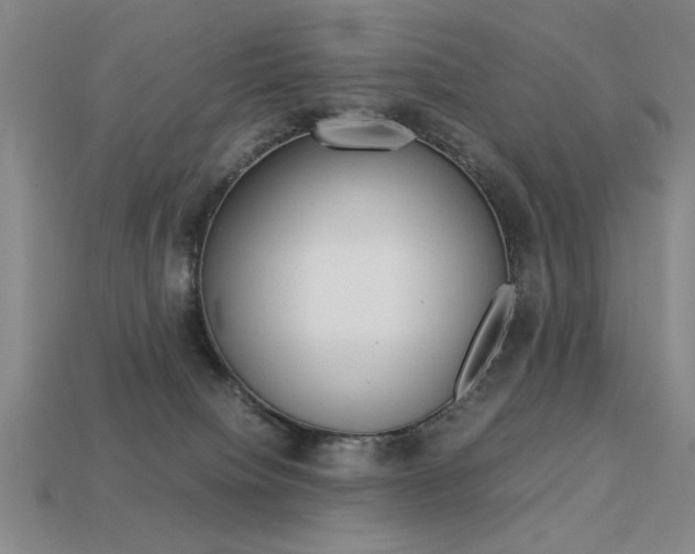 X0000113260084200909101259