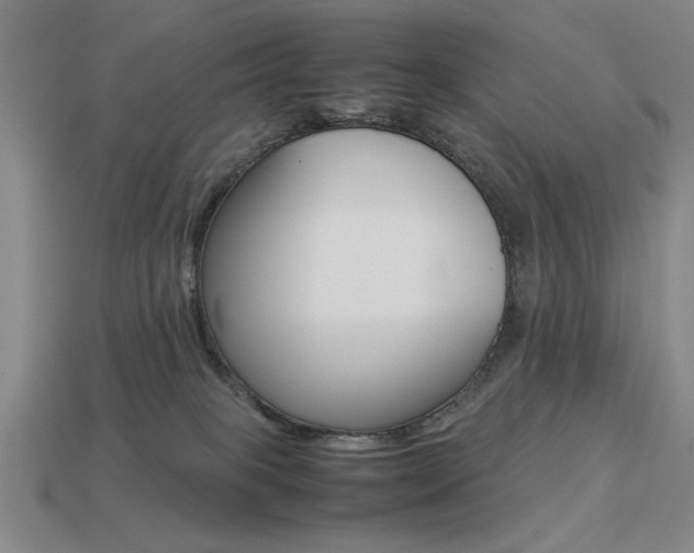 X0000113260085200909101259