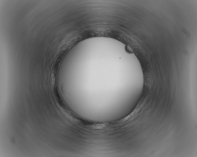 X0000113260086200909101259