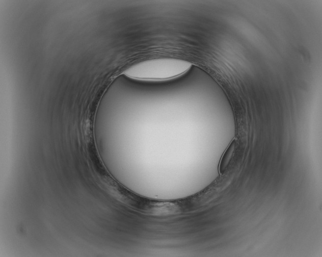 X0000113260087200909101259