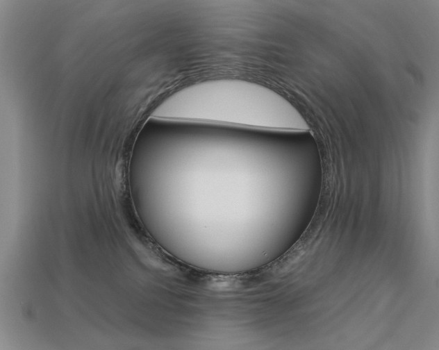 X0000113260088200909101259