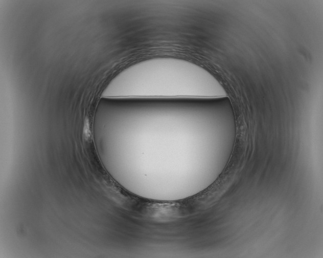 X0000113260089200909101259