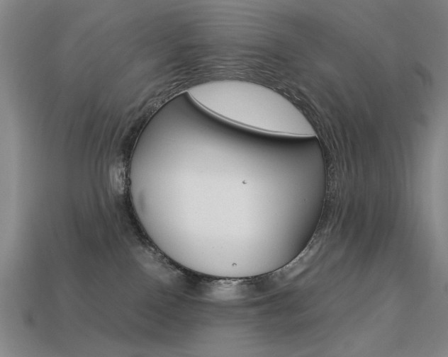 X0000113260090200909101259