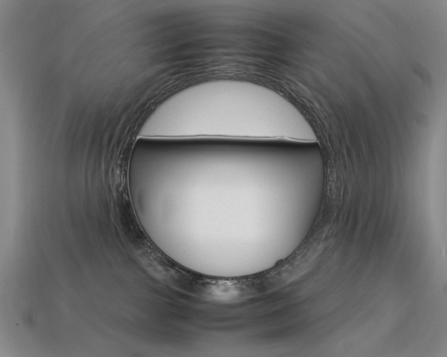 X0000113260091200909101259