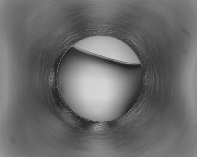 X0000113260092200909101259