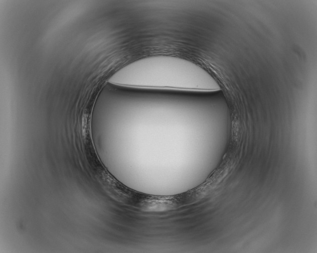 X0000113260093200909101259