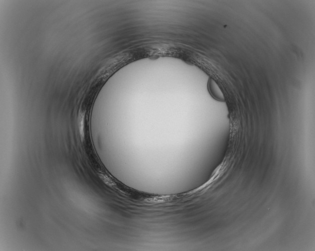 X0000113260094200909101259