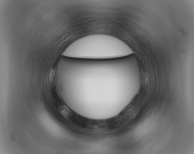 X0000113260095200909101259