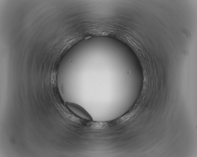 X0000113260096200909101259