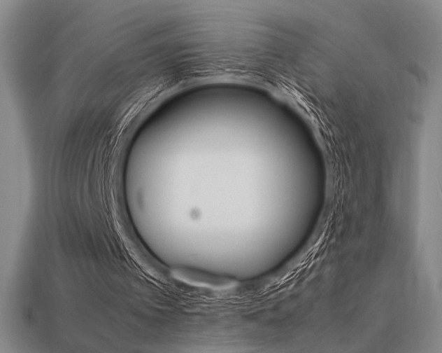 X0000113260097200909101258