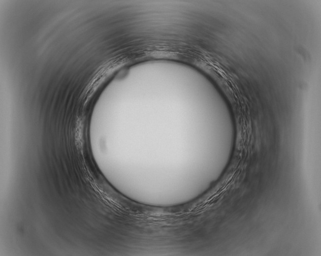 X0000113260098200909101258