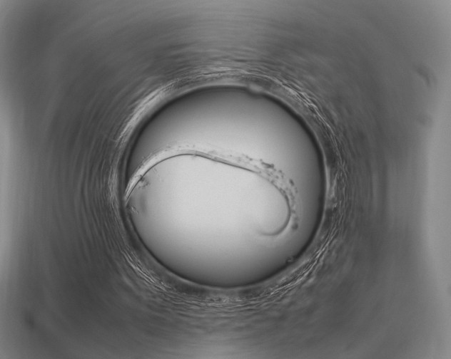 X0000113260099200909101258