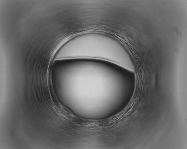 X0000113260100200909101258