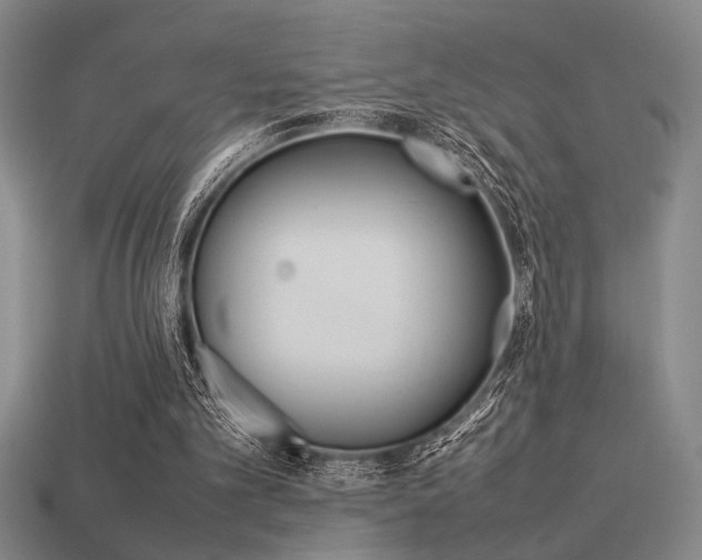 X0000113260101200909101258