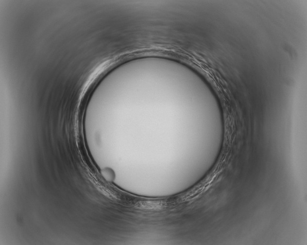 X0000113260102200909101258