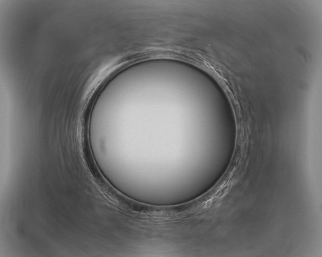 X0000113260103200909101258